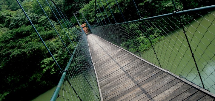Подвесной мост в специальной природной области экотуризм Thenmala, в городе Коллам (Kollam) в Индии! Фото www.wikimedia.org