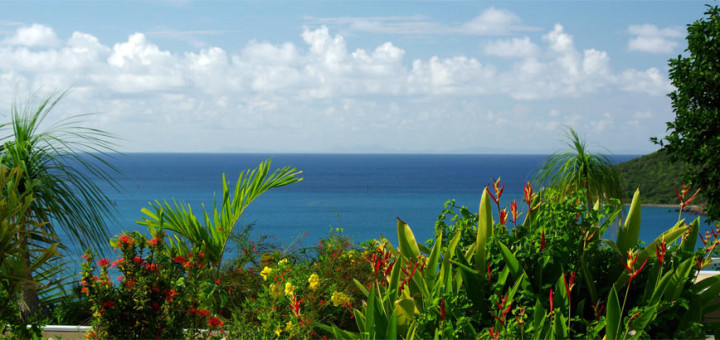 Тихие отели на Карибах - "Bellavista Bed and Breakfast", Сент-Томас (U.S. Virgin Islands, St. Thomas). Фото www.bellavista-bnb.com