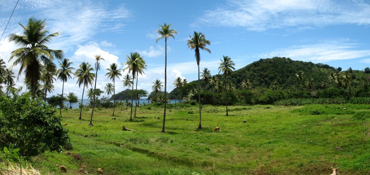 Доминика. Типичный пейзаж восточного побережья. Фото www.ru.wikipedia.org