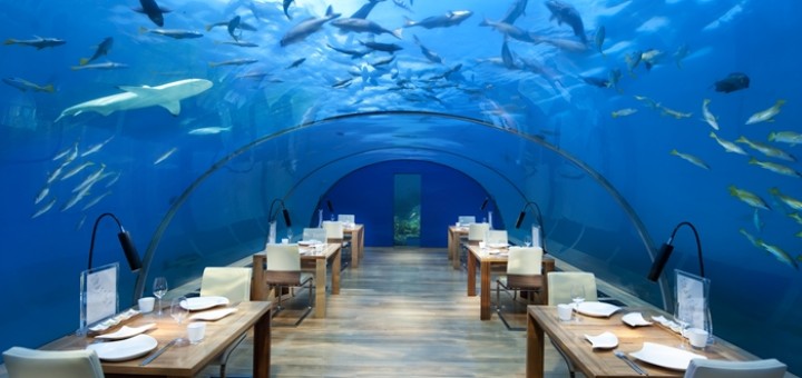 Уникальный стеклянный ресторан "Ithaa Undersea" в отеле "Conrad Maldives Rangali Island". Фото www.conradhotels3.hilton.com